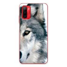 Чехлы с картинками животных Ulefone Note 12P (Волк)