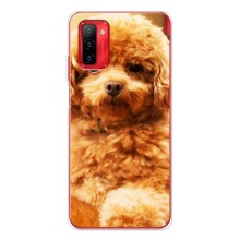 Чехлы с собаками для Ulefone Note 12P (VPrint) (Щенок Бишон)