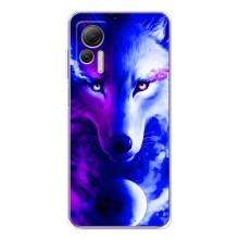 Чехол с Волком на Ulefone Note 14 – Арт-Волк