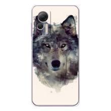 Чехол с Волком на Ulefone Note 14 – Волк