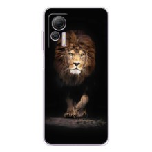 Чехол со Львом для Ulefone Note 14 (VPrint) (Лев)