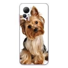 Чехол (ТПУ) Милые собачки для Ulefone Note 14 – Собака Терьер