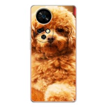 Чохли з собаками для Ulefone Note 17 Pro (VPrint) (Цуценя Бішон)