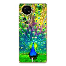 Чехол с птицами на Ulefone Note 17 Pro (VPrint) (Яркий Павлин)