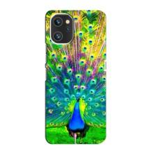 Чехол с птицами на Umidigi A13 Pro (VPrint) (Яркий Павлин)