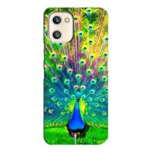 Чехол с птицами на Umidigi A13s (VPrint)