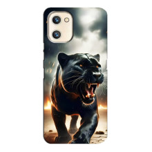 Чохол з картинкою 'Хижаки' для Umidigi A13s – Пантера