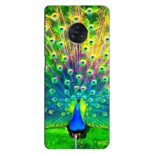 Чехол с птицами на Vivo Nex 3 (VPrint) (Яркий Павлин)