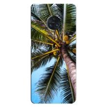 Силиконовый чехол с КАРТИНКАМИ лето для Vivo Nex 3 (AlphaPrint) (Пальма)
