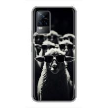 Чохол з принтом стильні тварини для ВайВО С9 – Овечка в окулярах