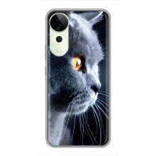 Чехлы с Котиками для Vivo T3 Ultra (VPrint) (Серый Кот)