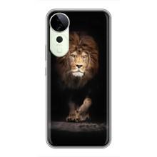 Чохол з картинкою ЛЕВ для Vivo T3 Ultra (VPrint) – Лев