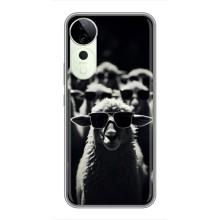 Чехол с принтом стильные животные для Vivo T3 Ultra – Овечка в очках