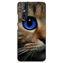 Чохли з Котиками для Vivo V15 Pro (VPrint) – Око кота