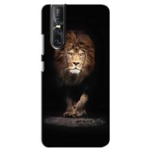 Чехол со Львом для Vivo V15 Pro (VPrint) (Лев)