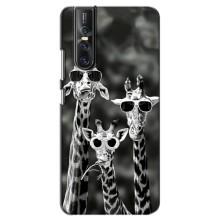 Силиконовый чехол с КАРТИНКАМИ лето для Vivo V15 Pro (AlphaPrint) (Жирафы в очках)