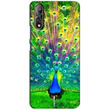 Чехол с птицами на ViVO V17 Neo (VPrint) (Яркий Павлин)