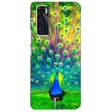 Чехол с птицами на ViVO V20 se (VPrint) (Яркий Павлин)