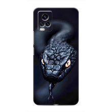 Чехол с картинкой «Хищники» для ViVO V20 – Змея