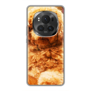 Чехлы с собаками для ViVO X200 PRO (VPrint)