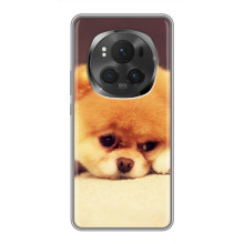 Чохол (ТПУ) Милі песики для ViVO X200 PRO
