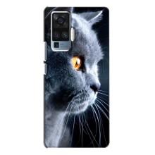 Чохли з Котиками для Vivo X50 Pro (VPrint) (Сірий Кіт)
