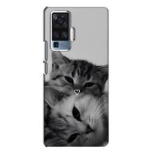 Чехол с рисунком кот на Vivo X50 Pro – Пара котов