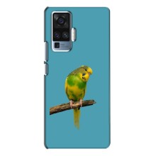 Силиконовый чехол с птичкой на Vivo X50 Pro – Попугайчик