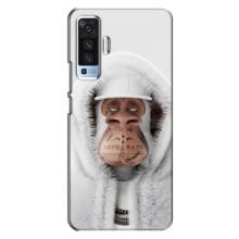 Чехлы с Обезьянами NFT для Vivo X50 (AlphaPrint) (обезьяна NFT в тату)