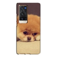 Чехол (ТПУ) Милые собачки для Vivo X60 Pro Plus (Померанский шпиц)