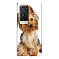 Чехол (ТПУ) Милые собачки для Vivo X60 Pro Plus – Собака Терьер