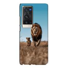 Чехол Король лев на Виво Х60 Про Плюс (Мусафа и Симба)