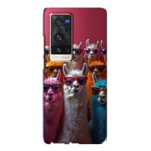 Чехол с принтом стильные животные для Виво Х60 Про Плюс – Ламы в очках
