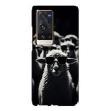 Чехол с принтом стильные животные для Виво Х60 Про Плюс – Овечка в очках
