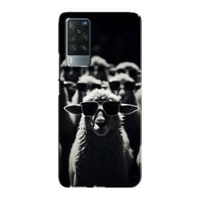 Чехол с принтом стильные животные для Виво Х60 Про – Овечка в очках