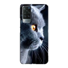 Чехлы с Котиками для Vivo X60 (VPrint) (Серый Кот)