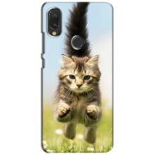 Чехлы с Котиками для Vivo Y11 (VPrint) (Прыжок кота)