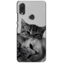 Чехол с рисунком кот на Vivo Y11 – Пара котов