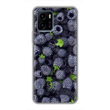 Чехлы с Фруктами для Vivo Y15s (VPrint) (Ежевика)