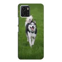 Чехол с Хаски для Vivo Y15s - (AlphaPrint) – Радостный Хаски