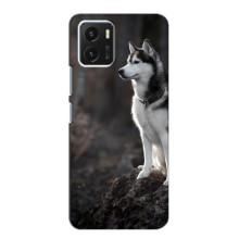 Чехол с Хаски для Vivo Y15s - (AlphaPrint) – Верный пес
