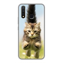 Чехлы с Котиками для Vivo Y19 (VPrint) (Прыжок кота)