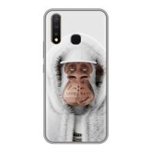 Чохли з Мавпами NFT для Vivo Y19 (AlphaPrint) (мавпа NFT в тату)