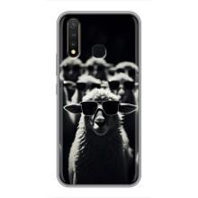 Чехол с принтом стильные животные для Виво у19 – Овечка в очках