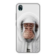 Чохли з Мавпами NFT для ViVO Y1s (AlphaPrint) (мавпа NFT в тату)