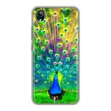 Чохол з пташками на ViVO Y1s (VPrint) (Яскравий Павлин)