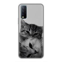 Чехол с рисунком кот на ViVO Y20 – Пара котов