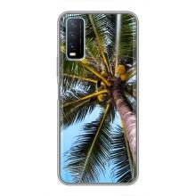 Силиконовый чехол с КАРТИНКАМИ лето для ViVO Y20 (AlphaPrint) (Пальма)