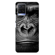 Чехлы с Горилой на Виво У21 – Черная обезьяна