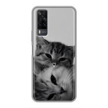 Чохол з малюнком кіт на ViVO Y31 – Пара котів